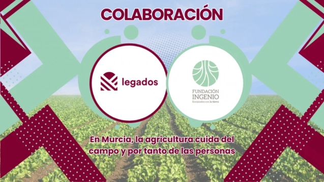 81c945d7-e541-42ae-9fed-2b0b51b47a81-980x549