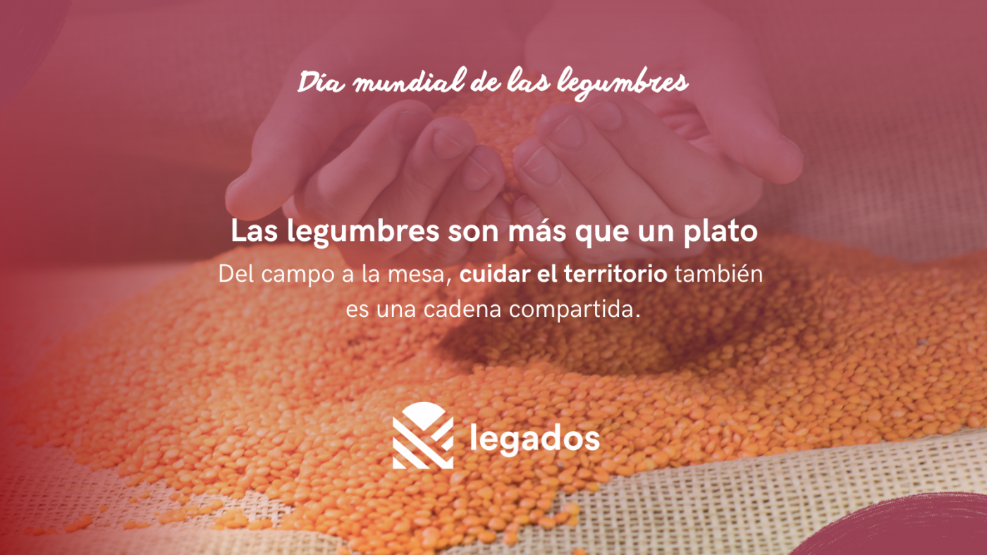 Día mundial de las legumbres (5)