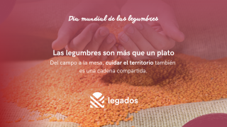 Día mundial de las legumbres (5)