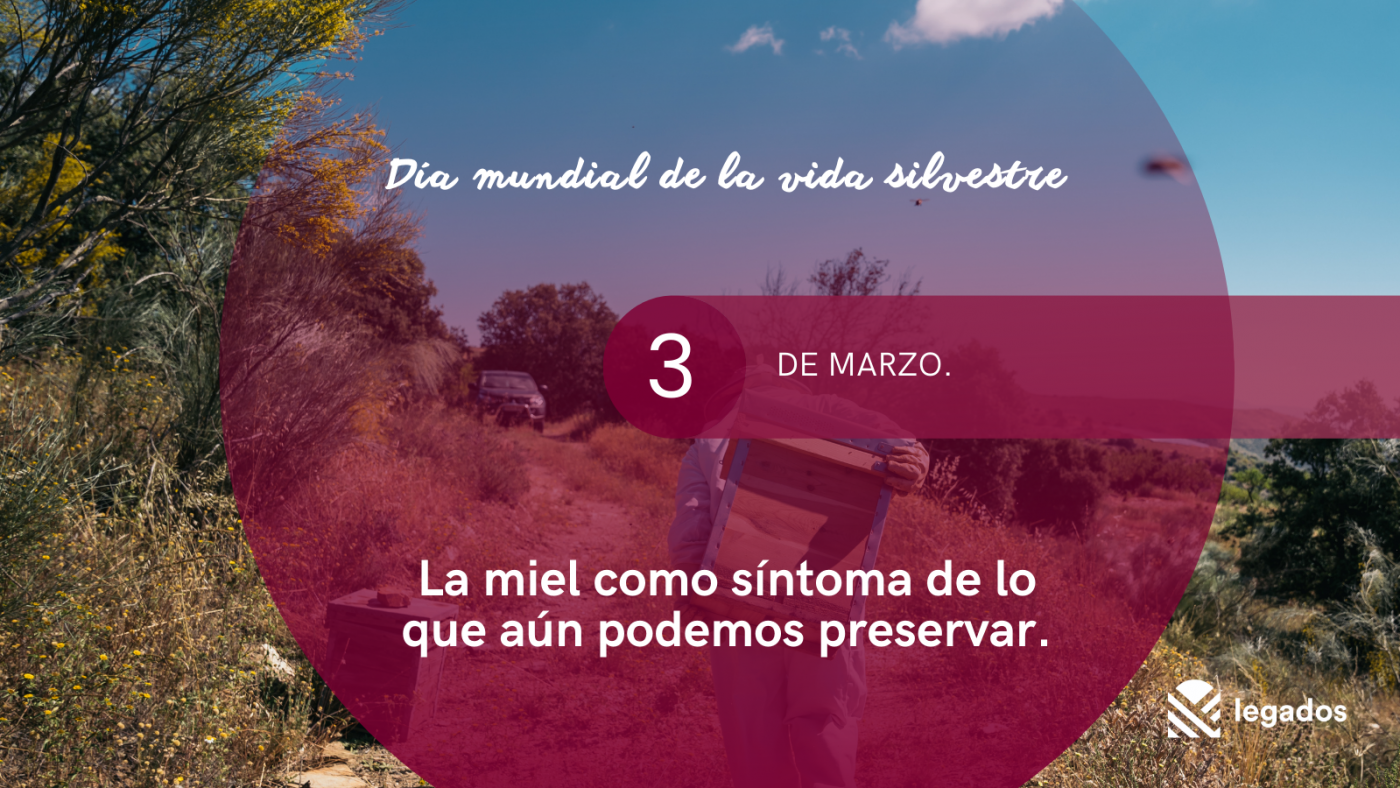 Día mundial de la vida silvestre_web (2)