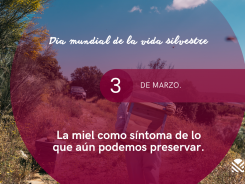 Día mundial de la vida silvestre_web (2)