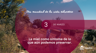 Día mundial de la vida silvestre_web (2)
